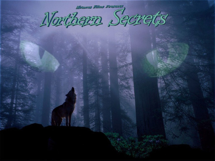 Northern Secrets Posters